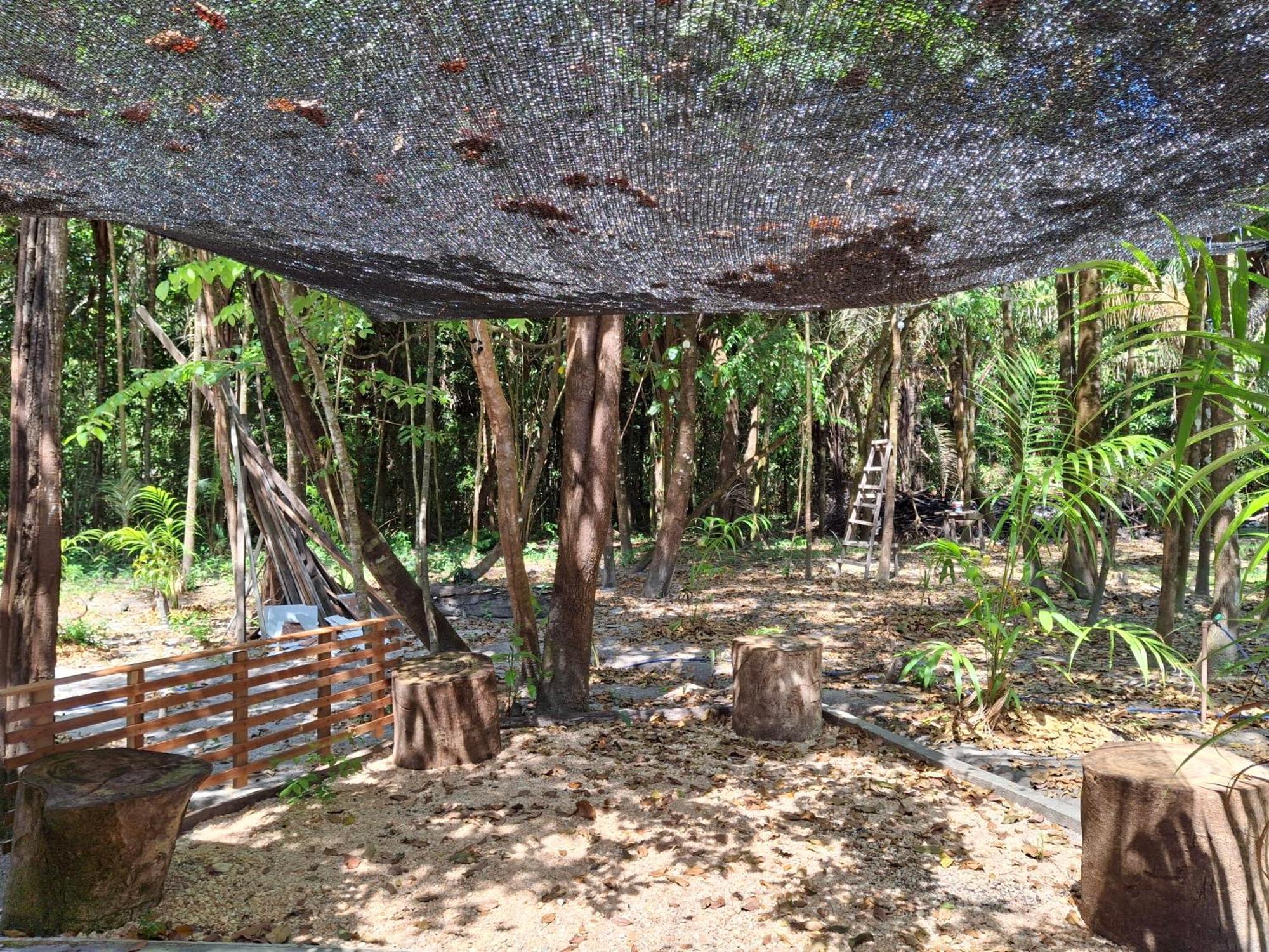 Casa Da Mata Marajo Villa Salvaterra Eksteriør bilde